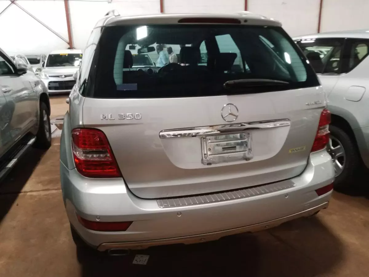 car Back