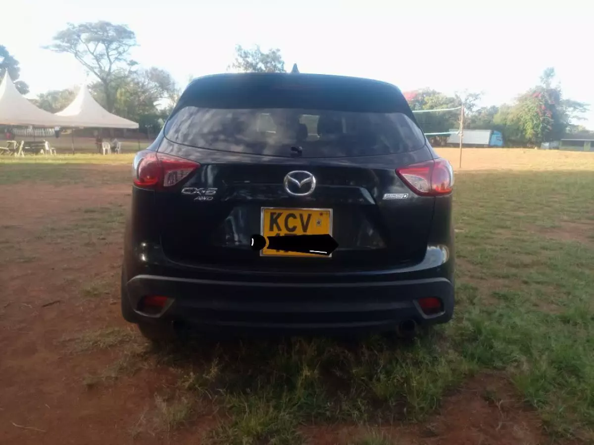 car Back