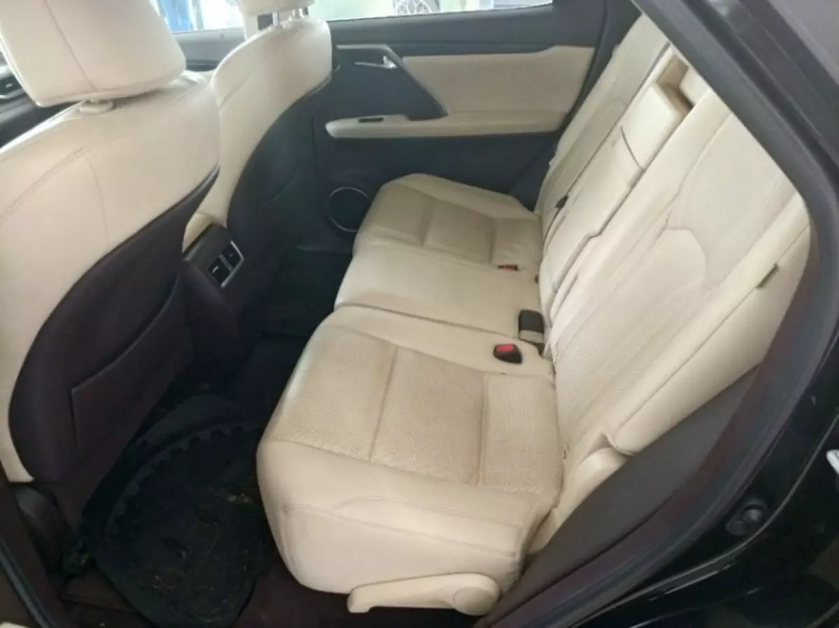 interiorBack
