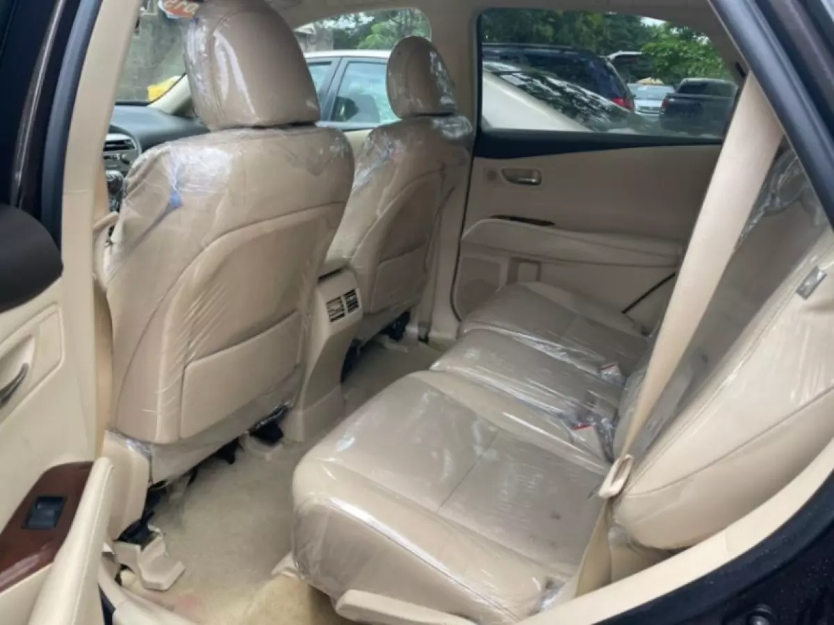 interiorBack