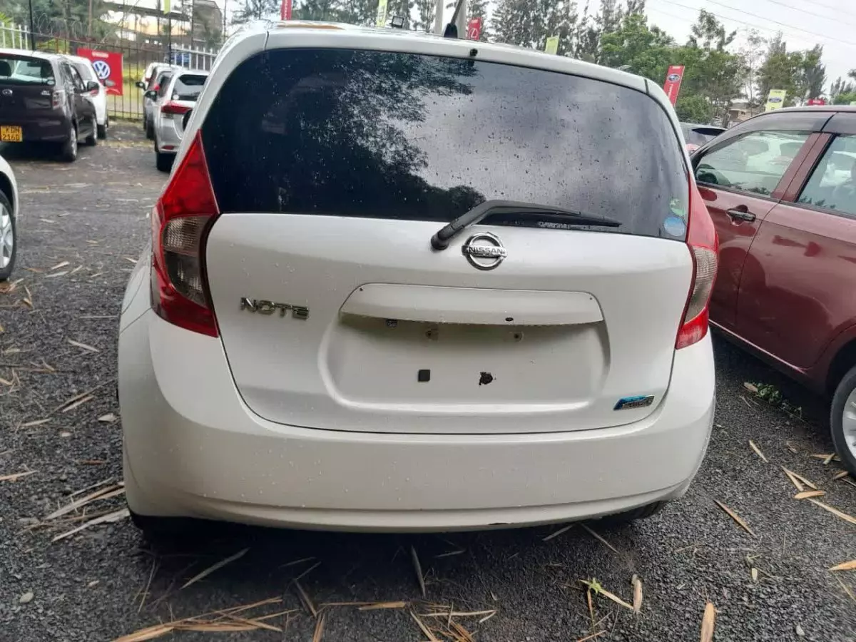 car Back