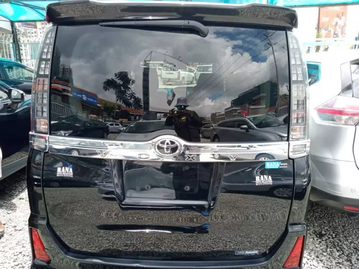 car Back