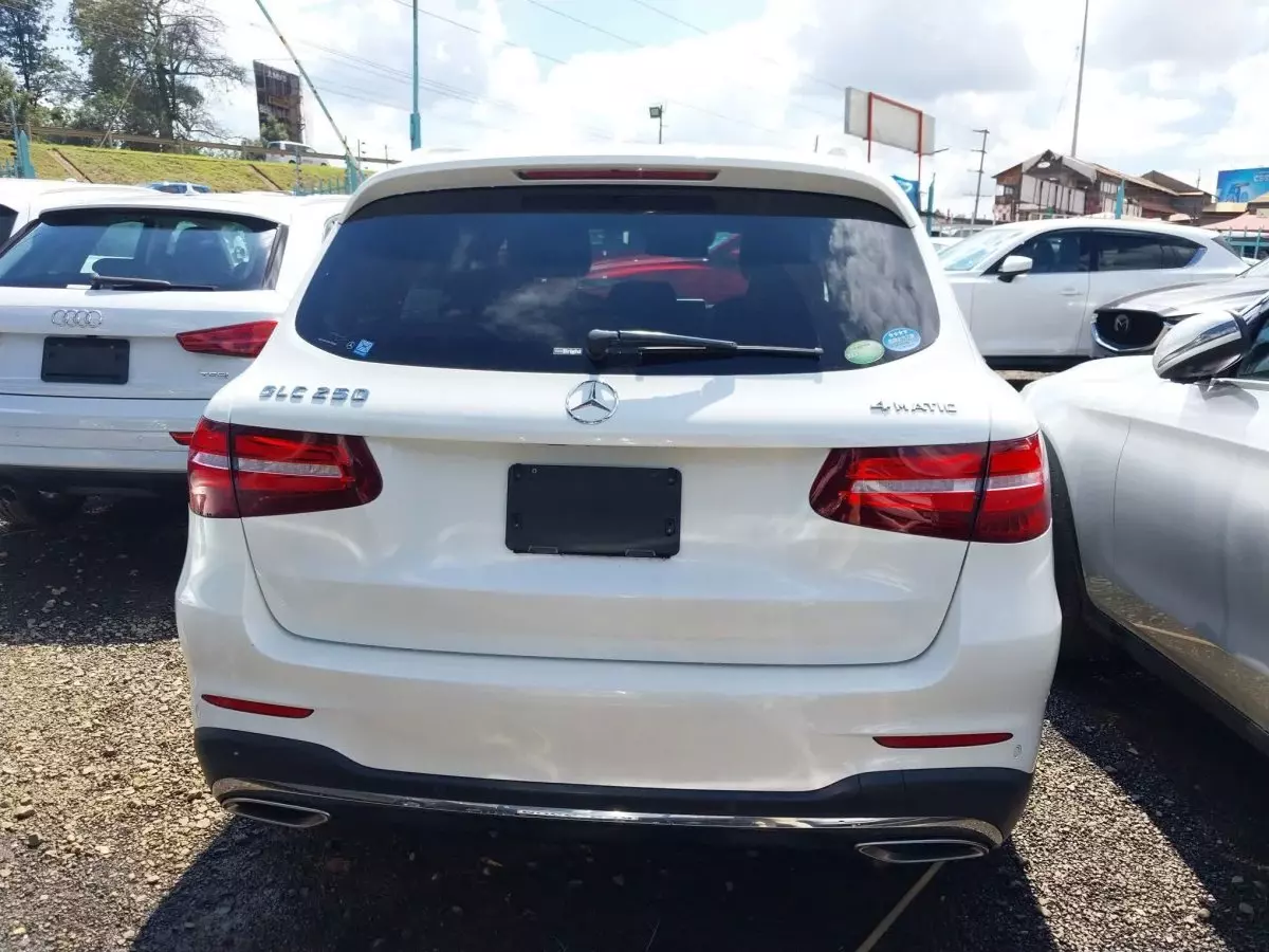 car Back