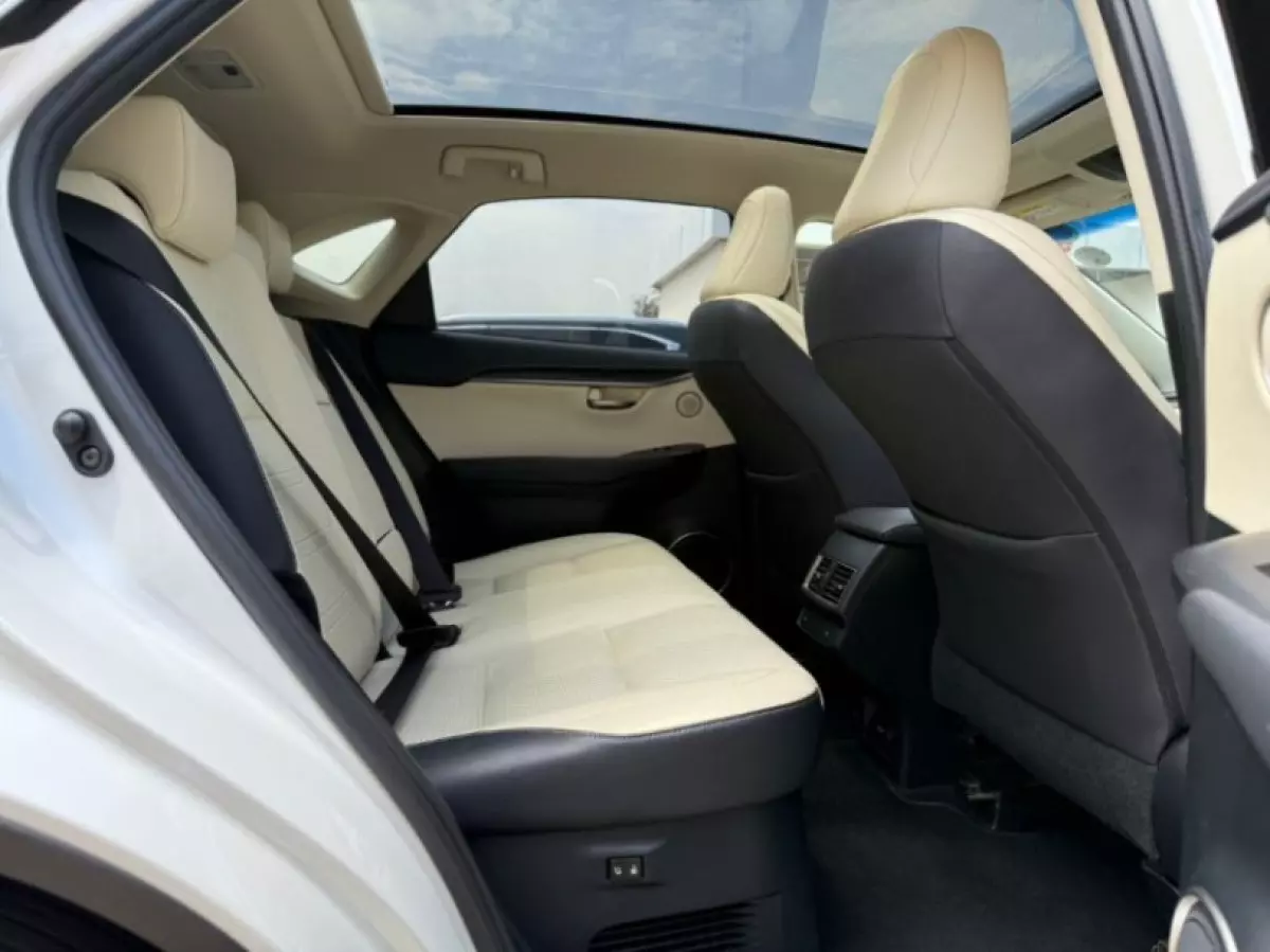 interiorBack