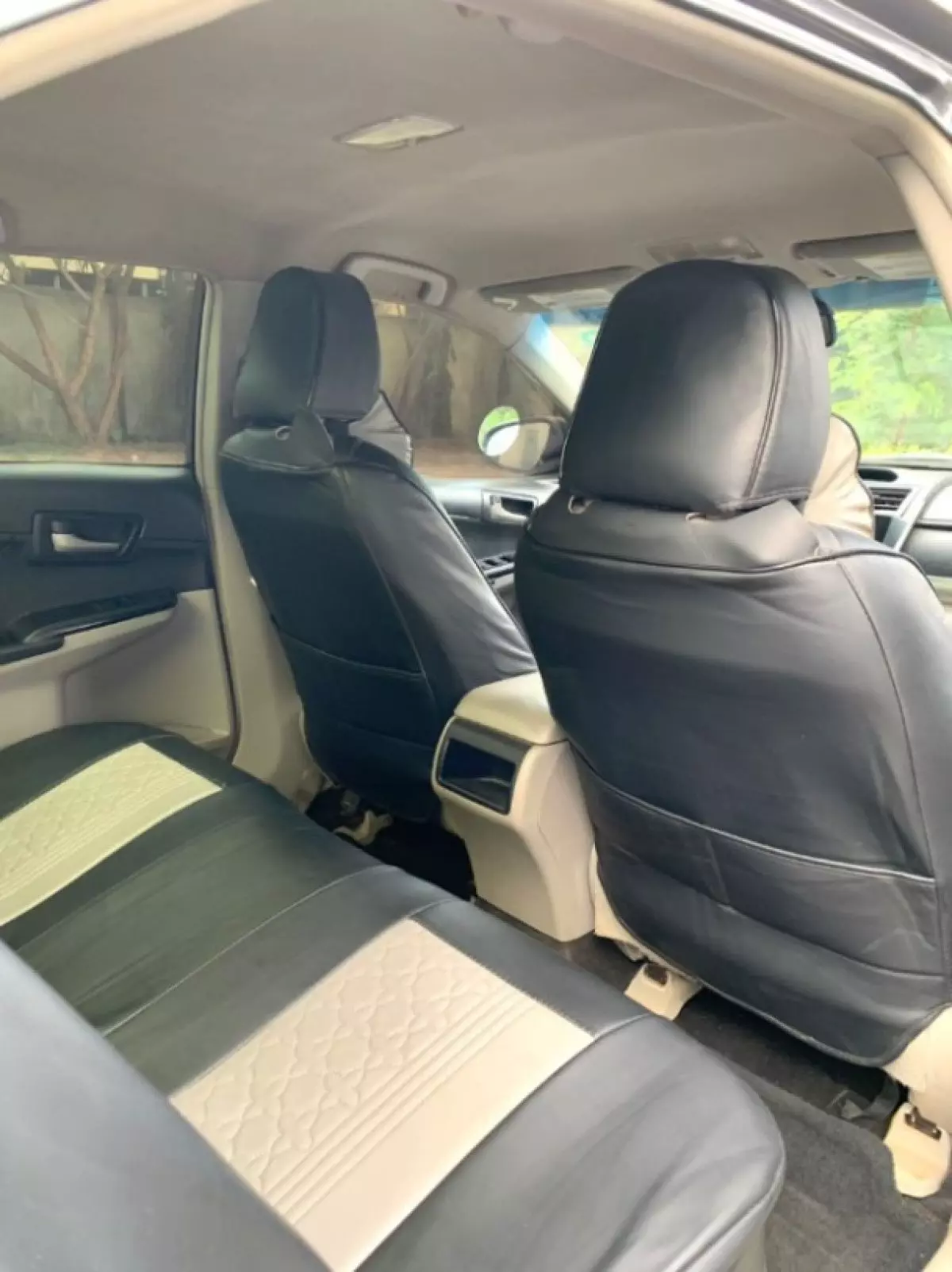 interiorBack