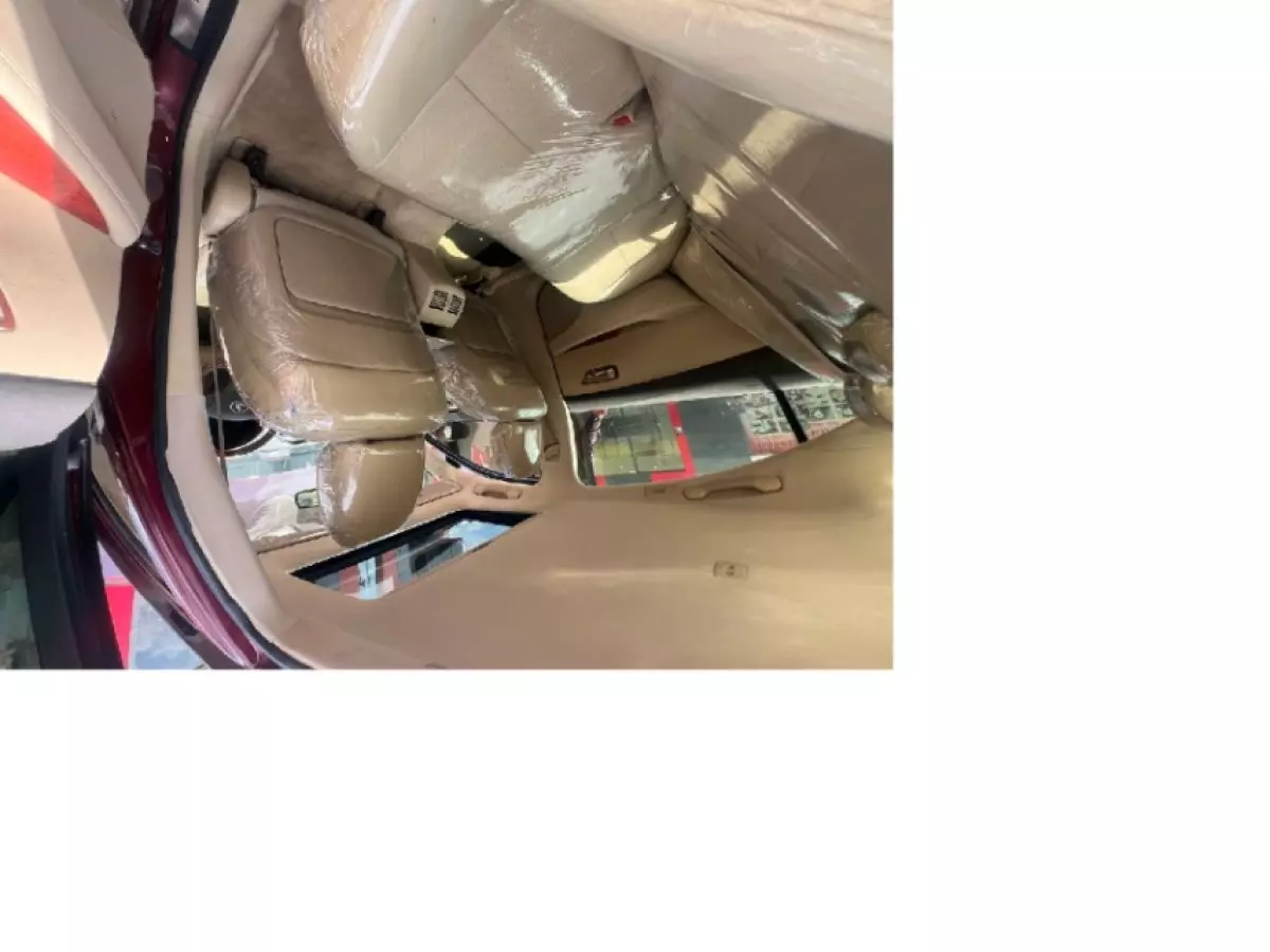 interiorBack