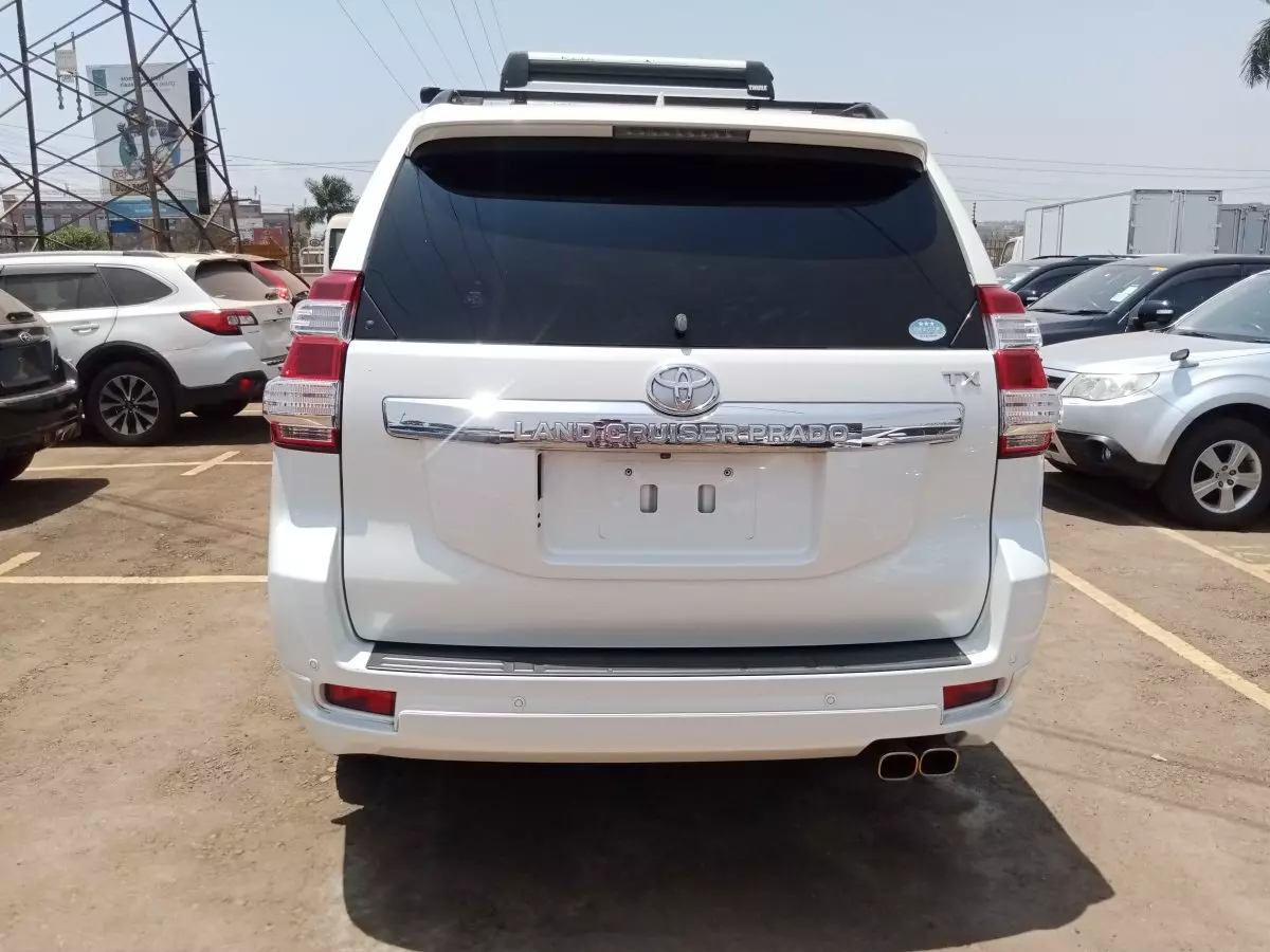 car Back