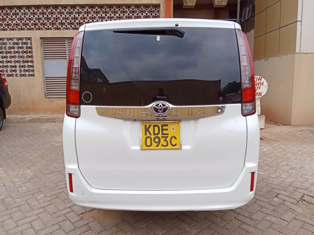 car Back