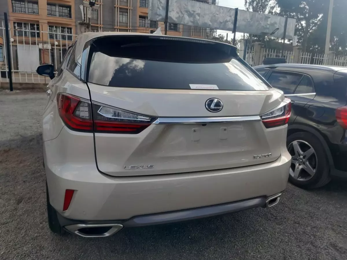 car Back