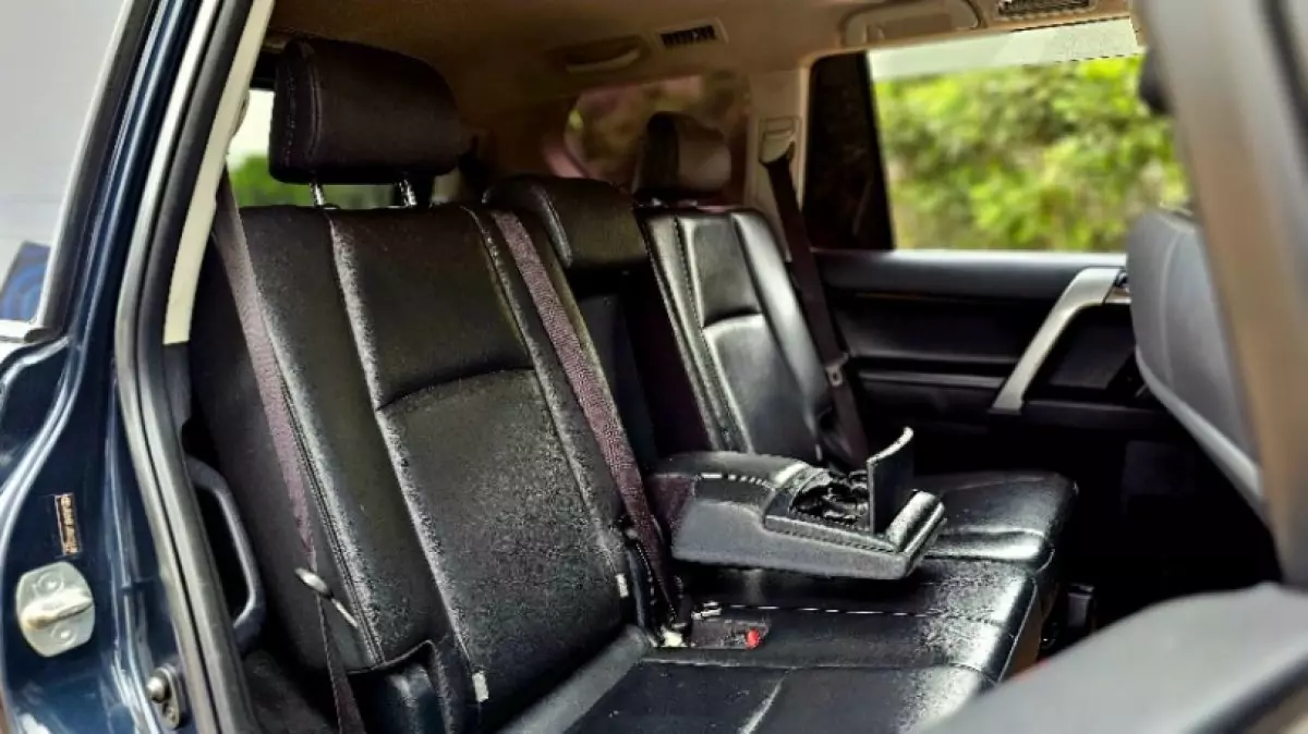 interiorBack