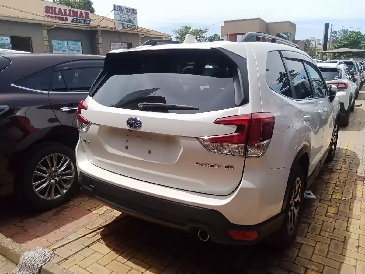 car Right Back