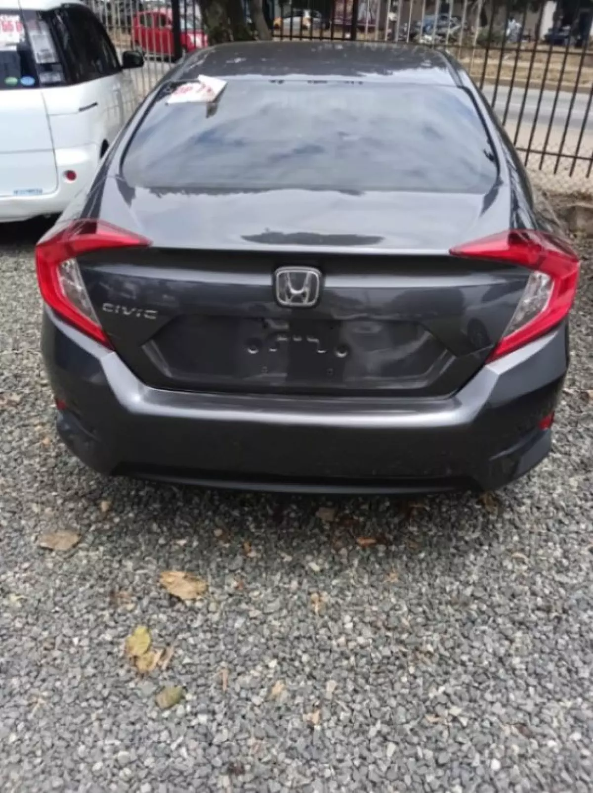 back