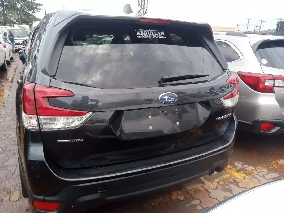 car Back