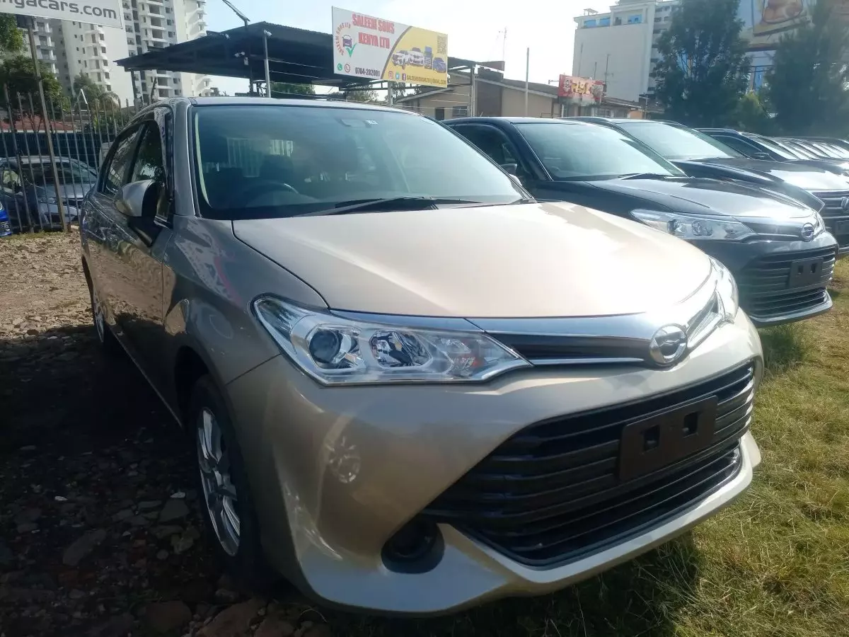 Toyota Axio  - 2017