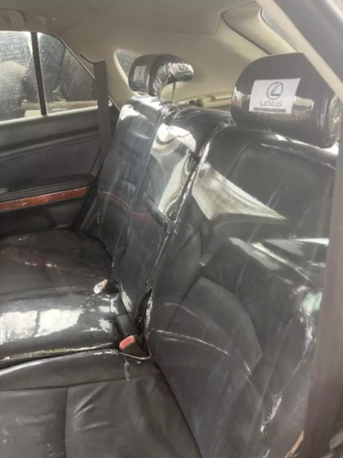 interiorBack