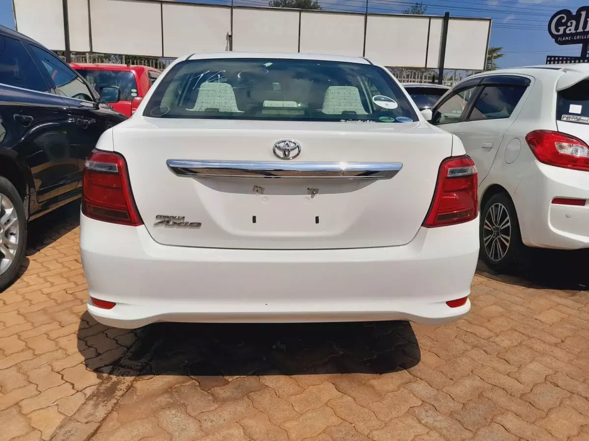 car Back