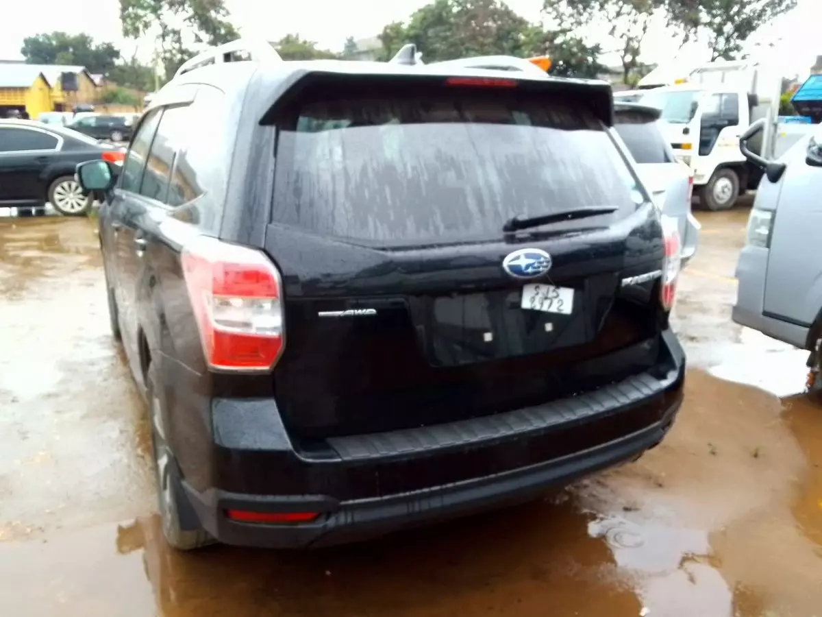 car Back