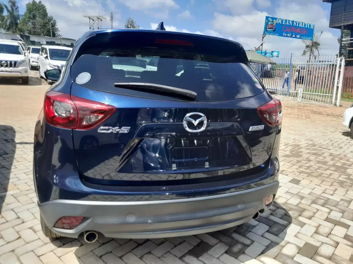 car Back