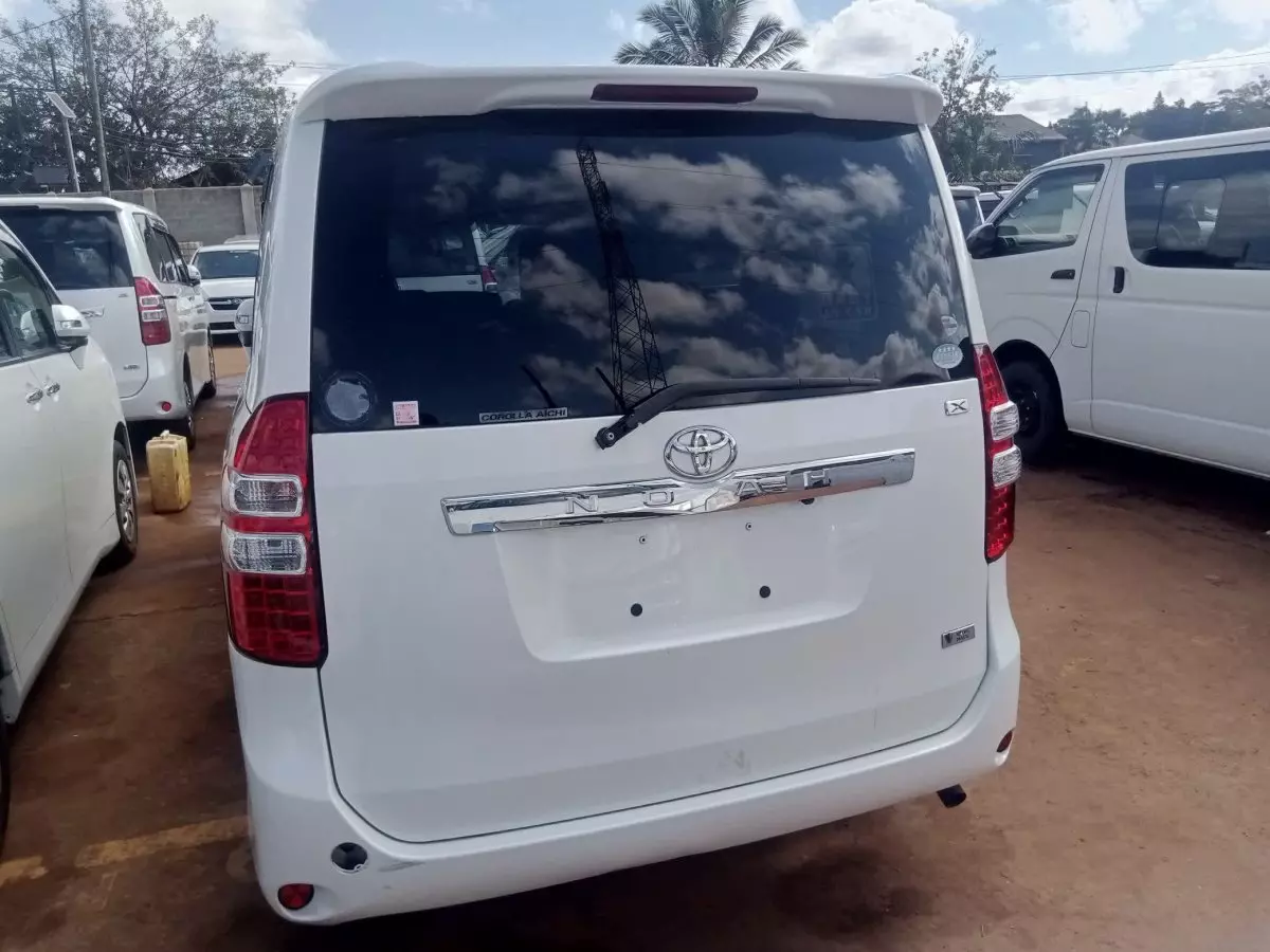 car Back