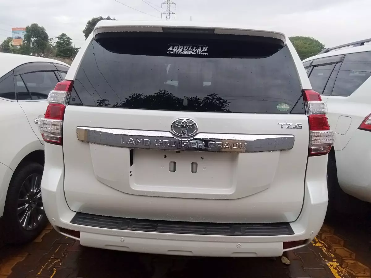 car Back