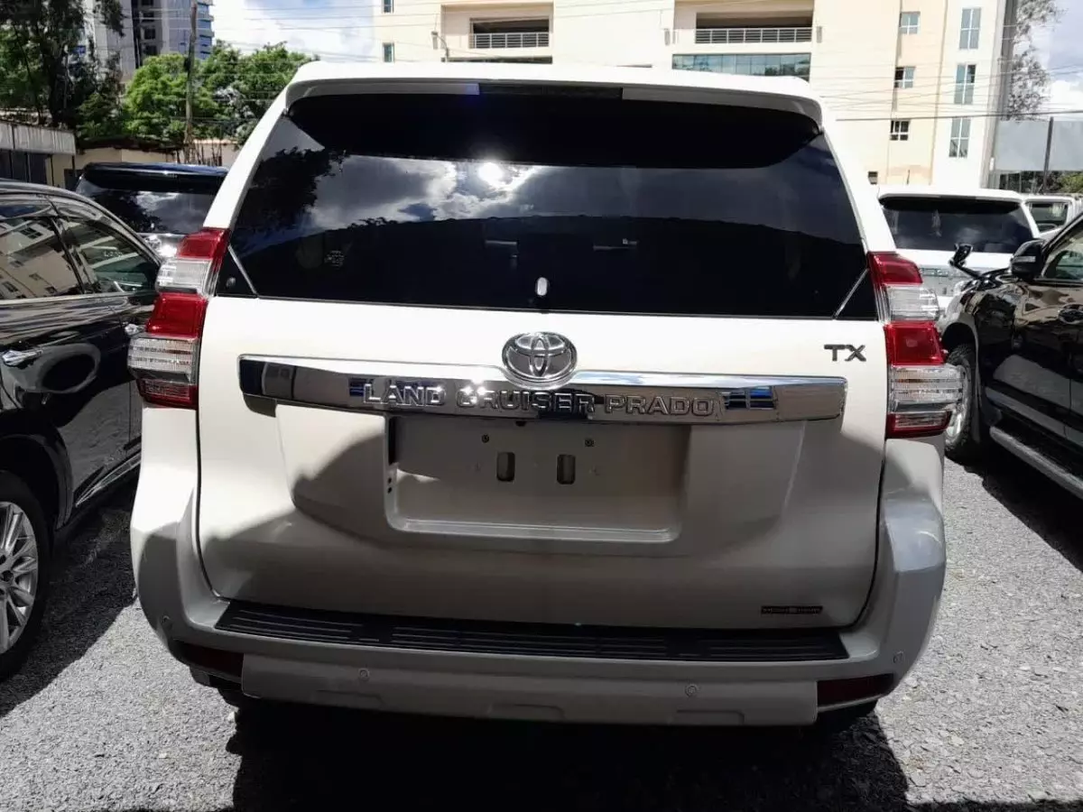 car Back