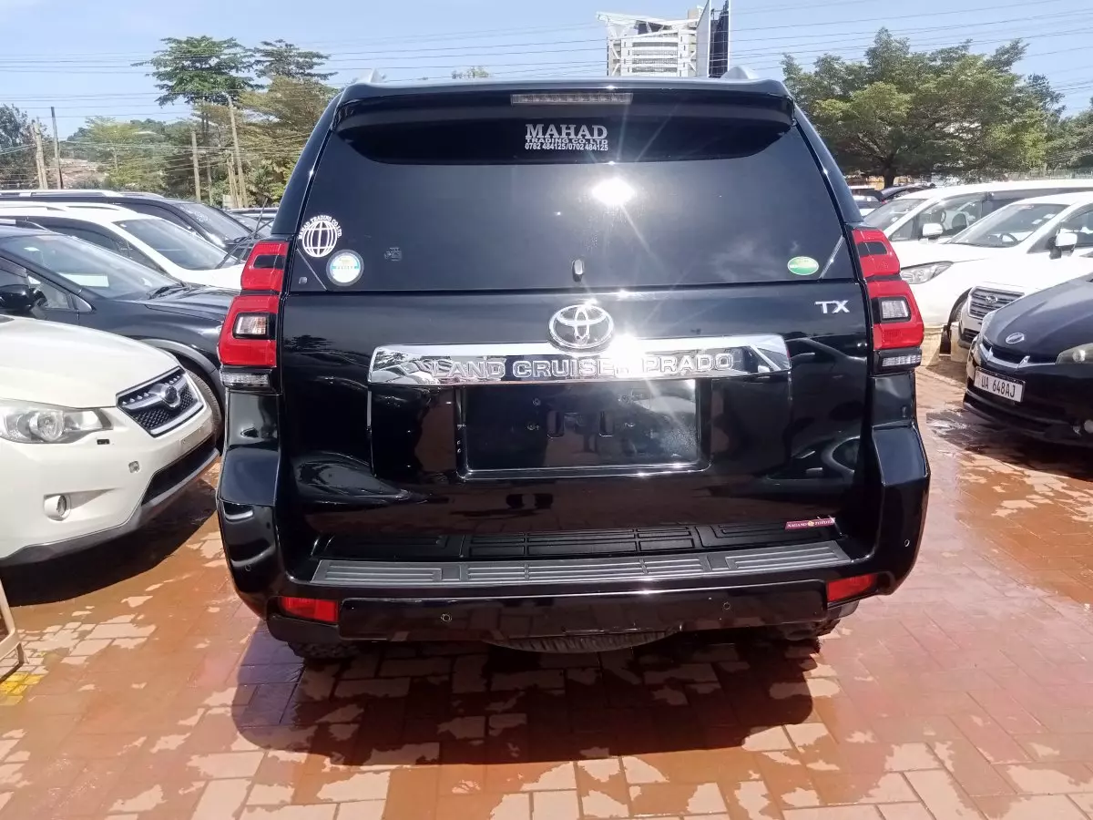 car Back