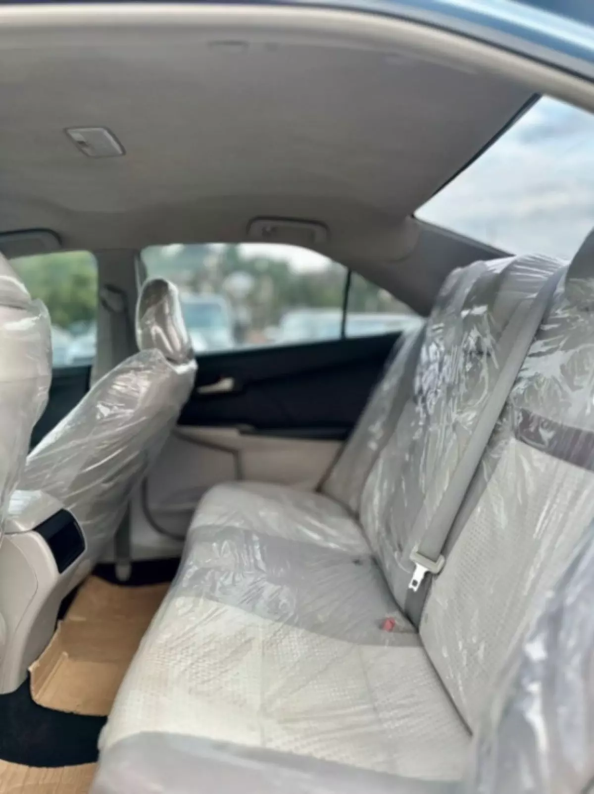 interiorBack