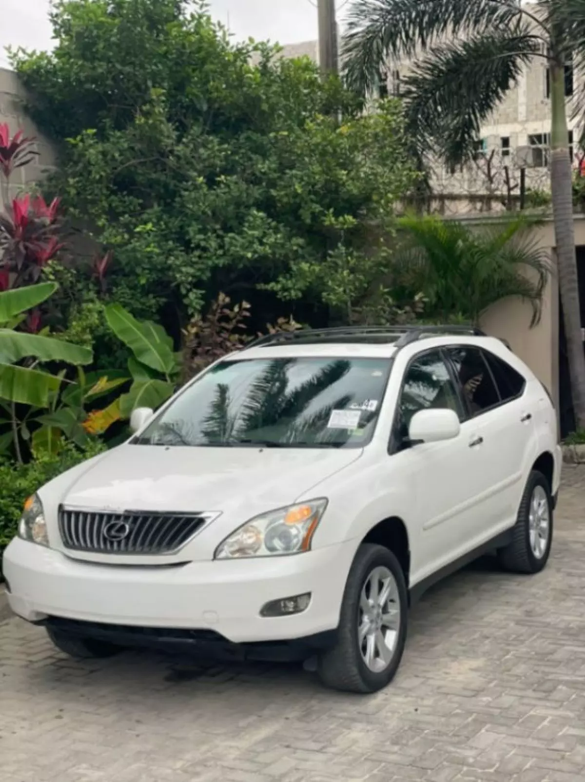 Lexus RX 300 - 2008