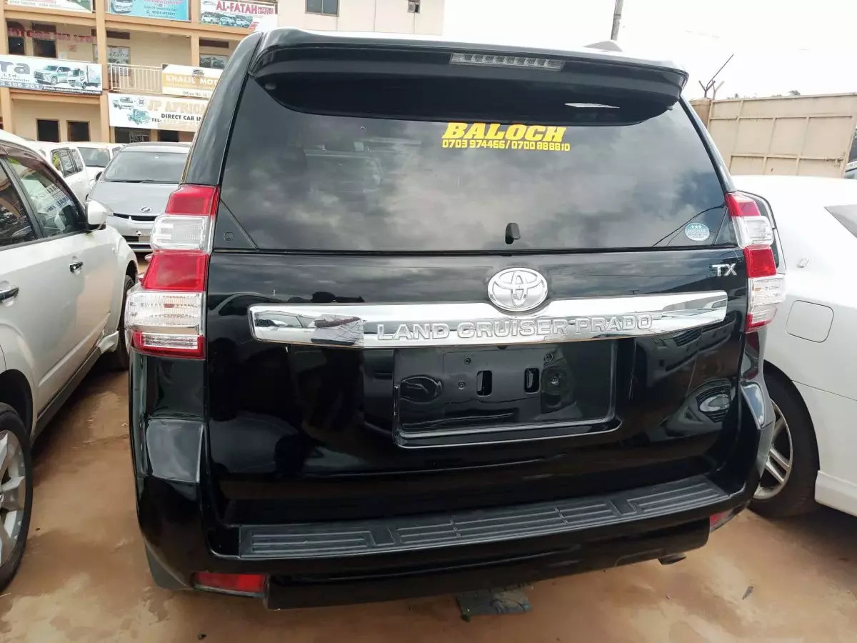 car Back