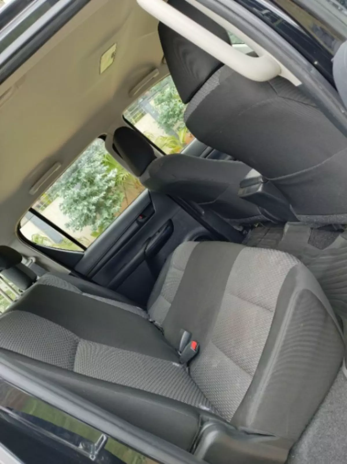 interiorBack