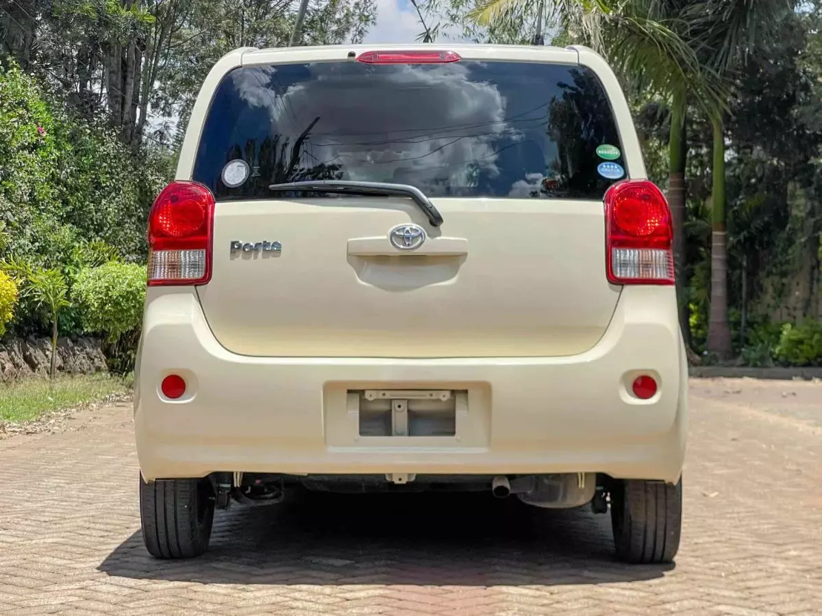 car Back