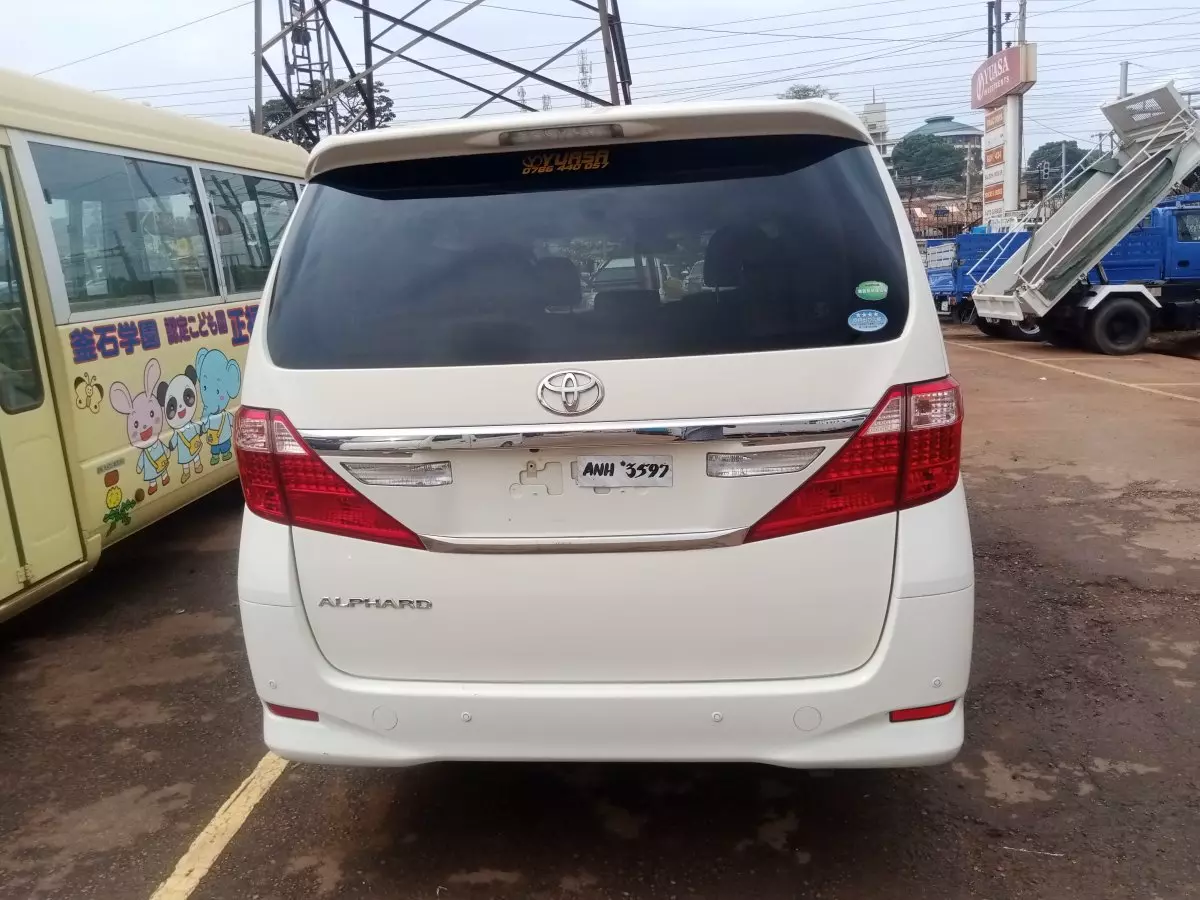 car Back