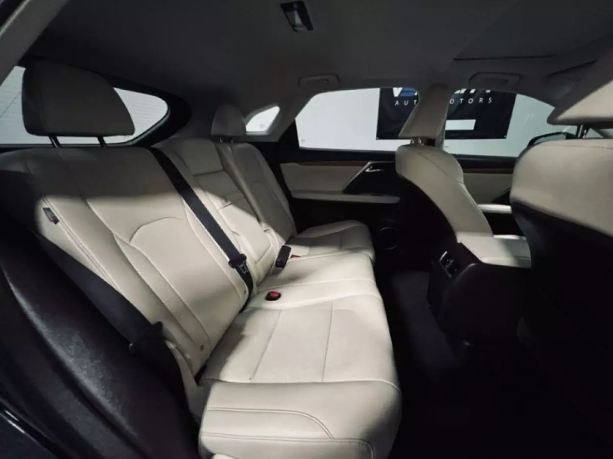 interiorBack