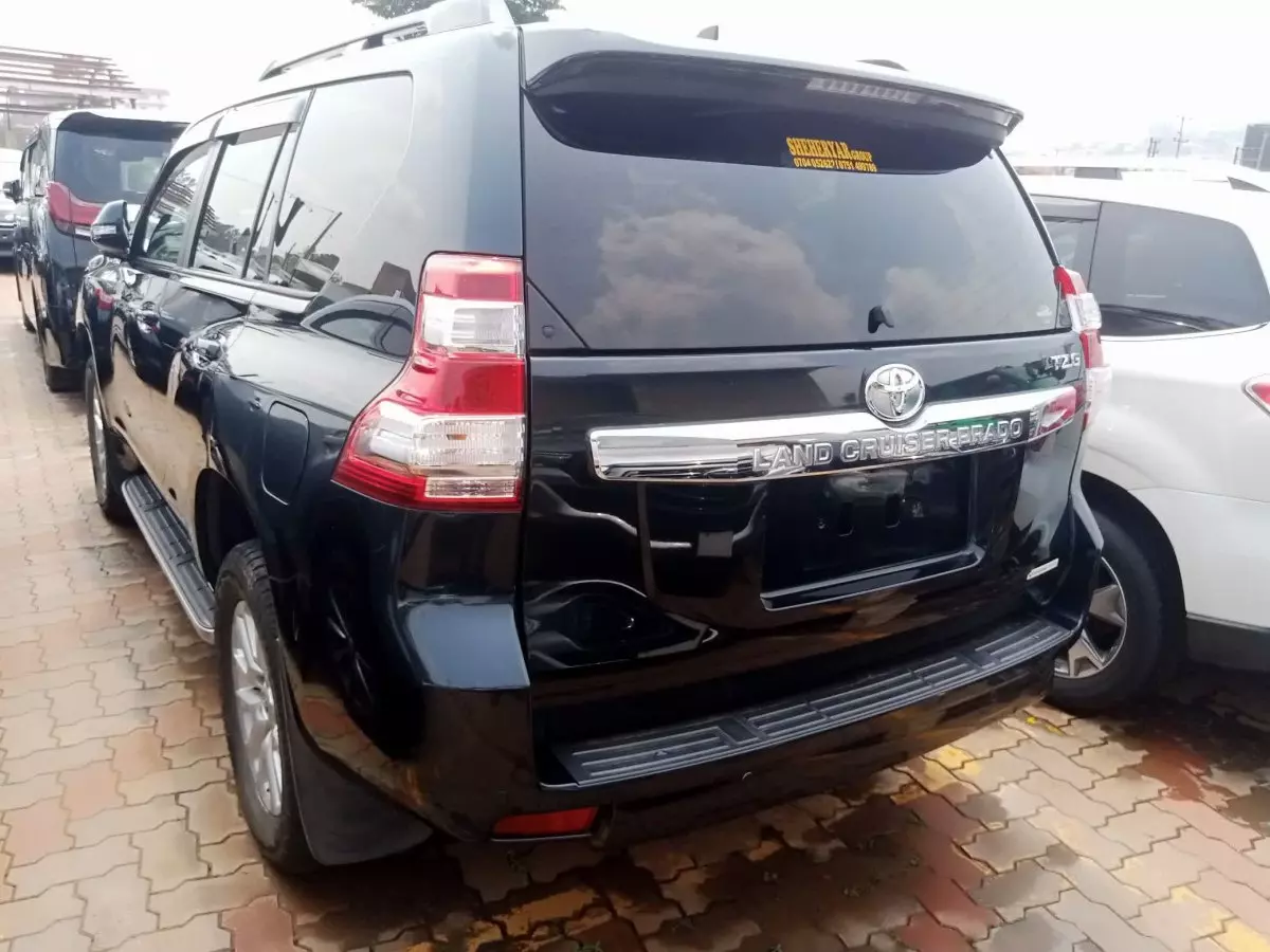 car Left Back
