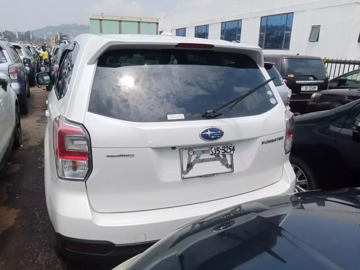 car Back