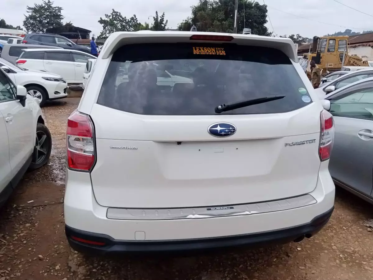 car Back