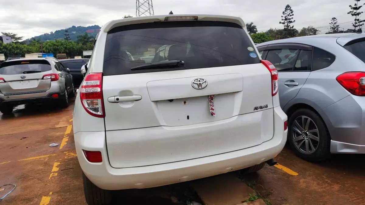 car Back