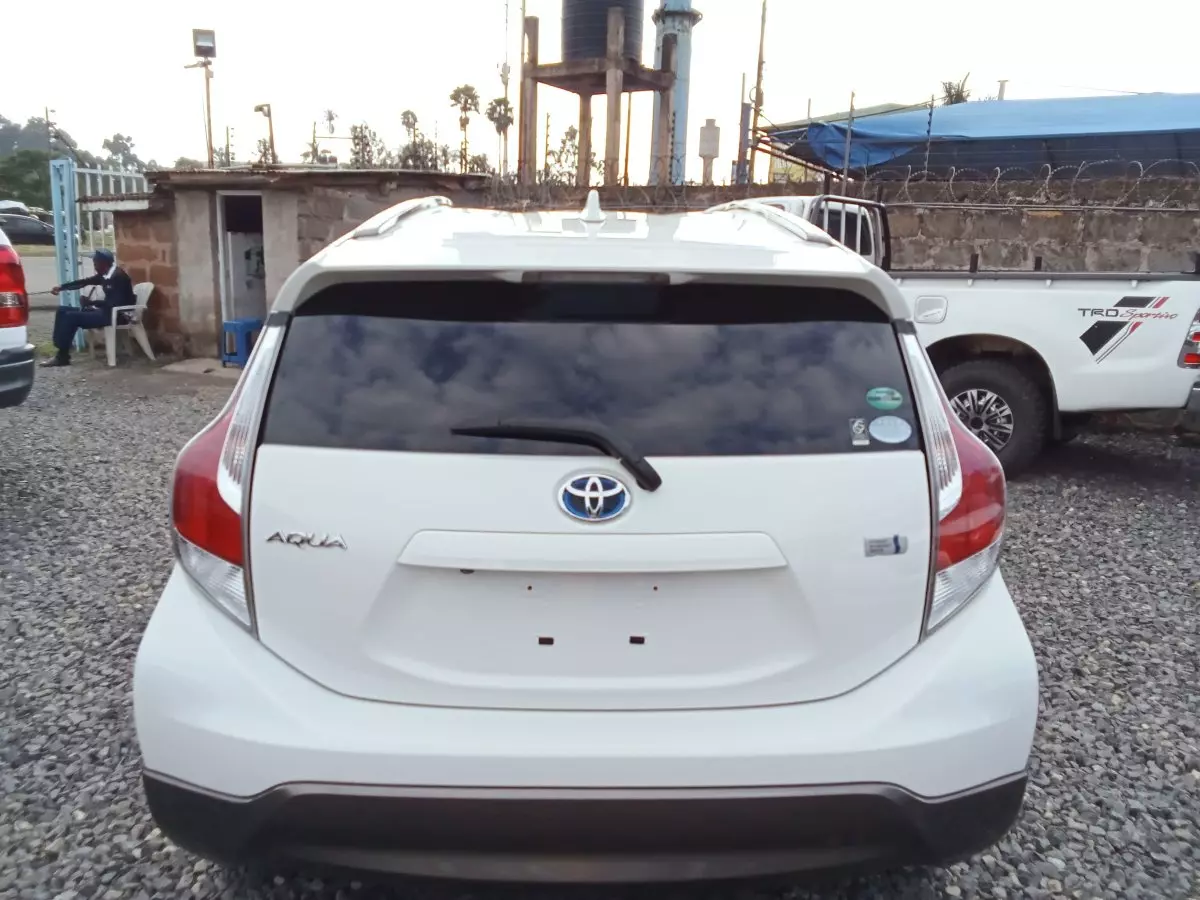 car Back
