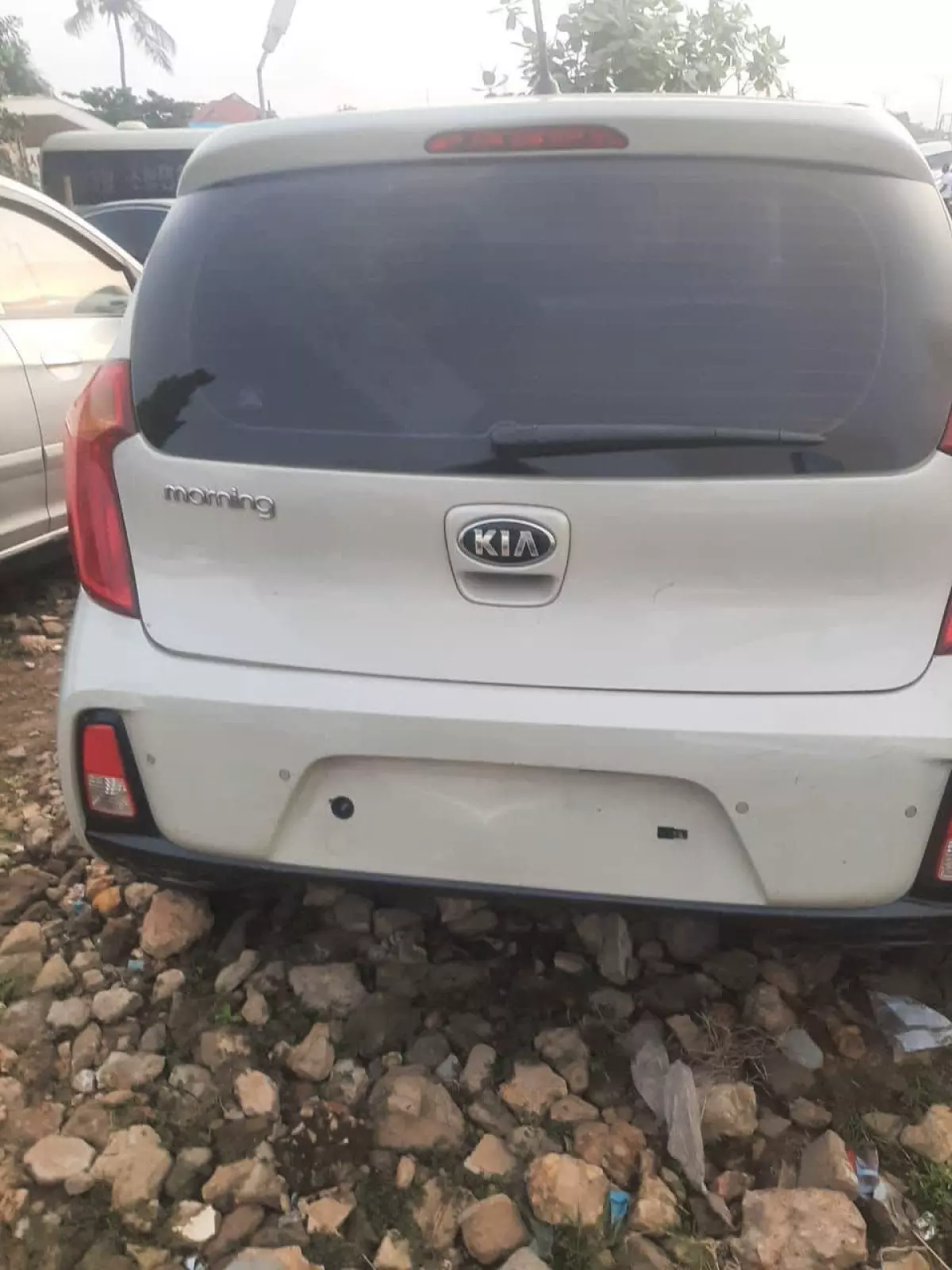 car Back