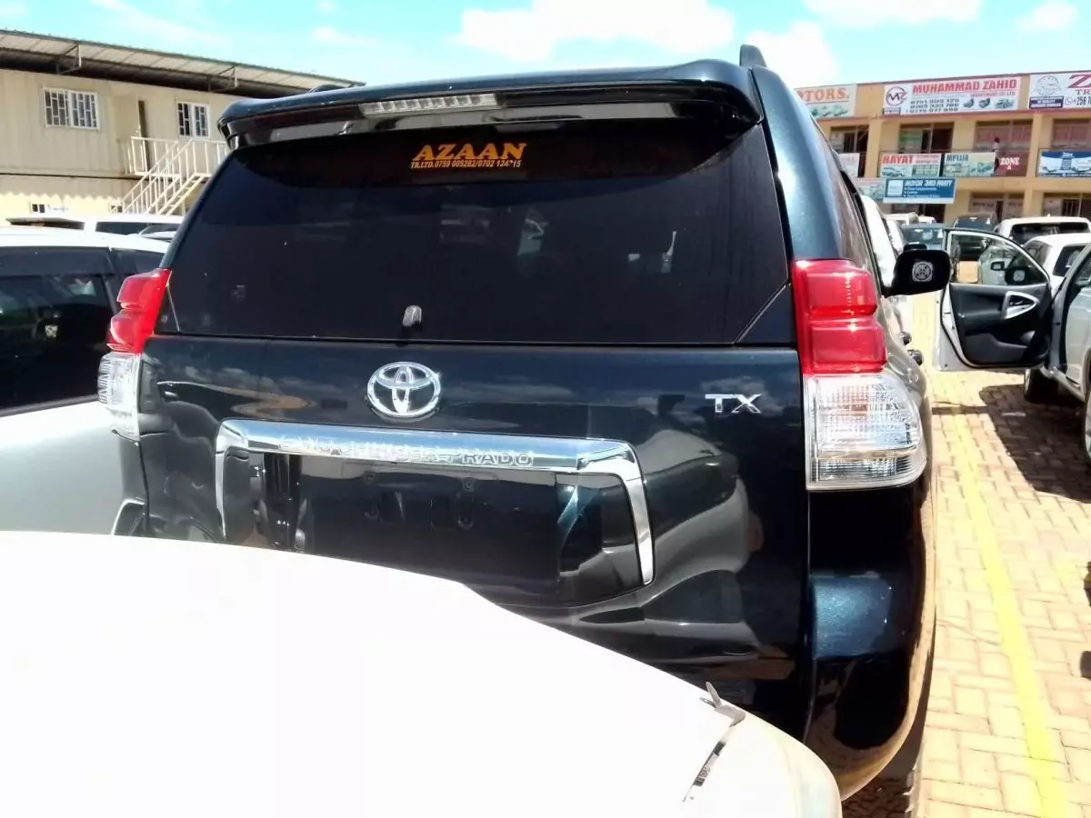 car Back