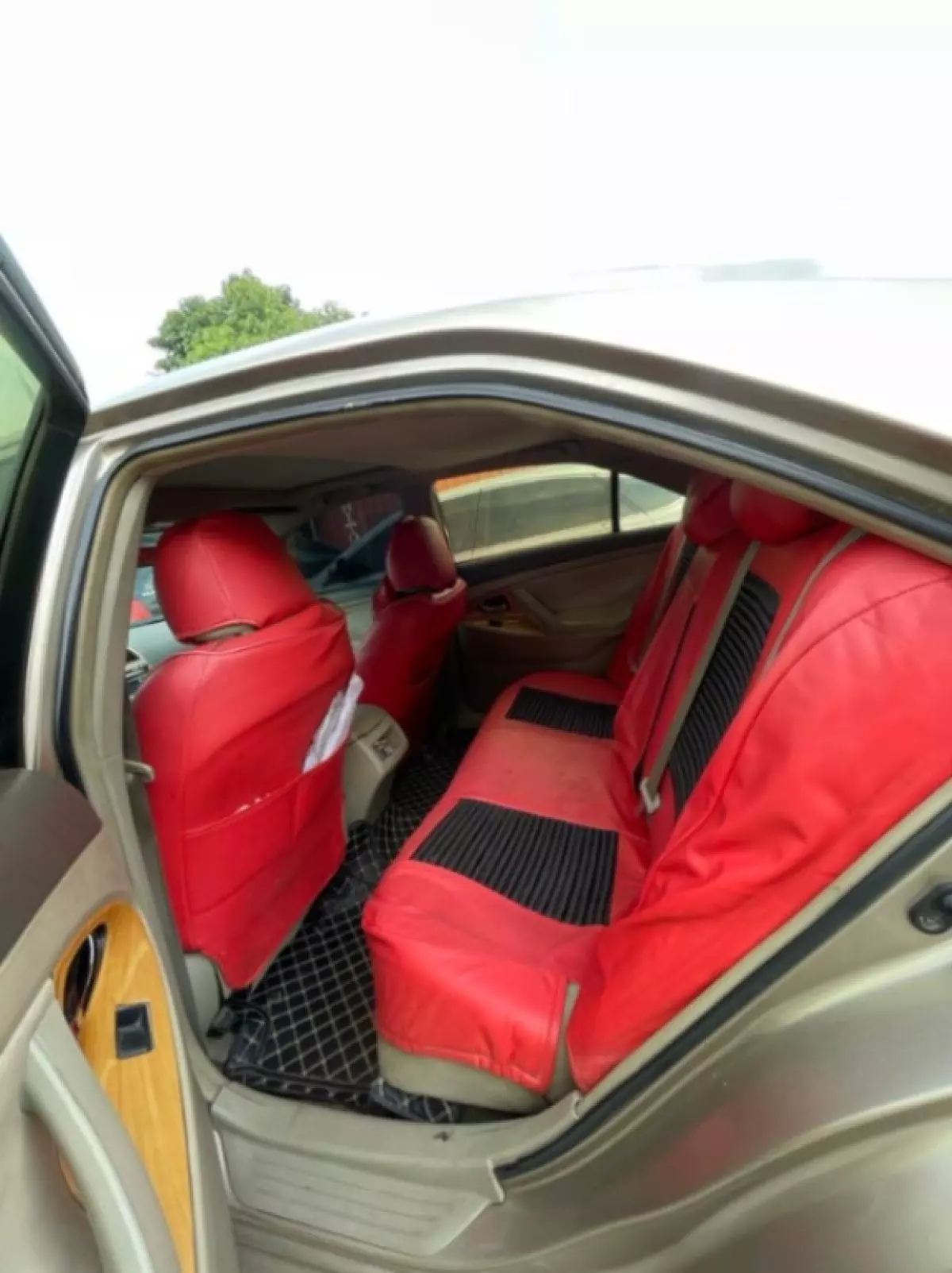 interiorBack