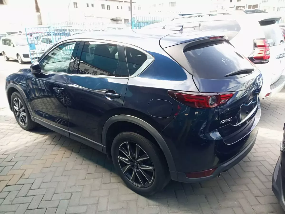 car Left Back