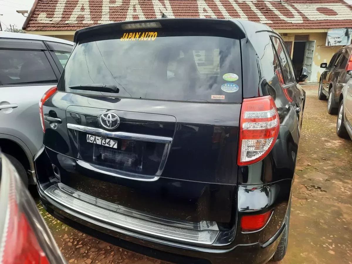 car Back