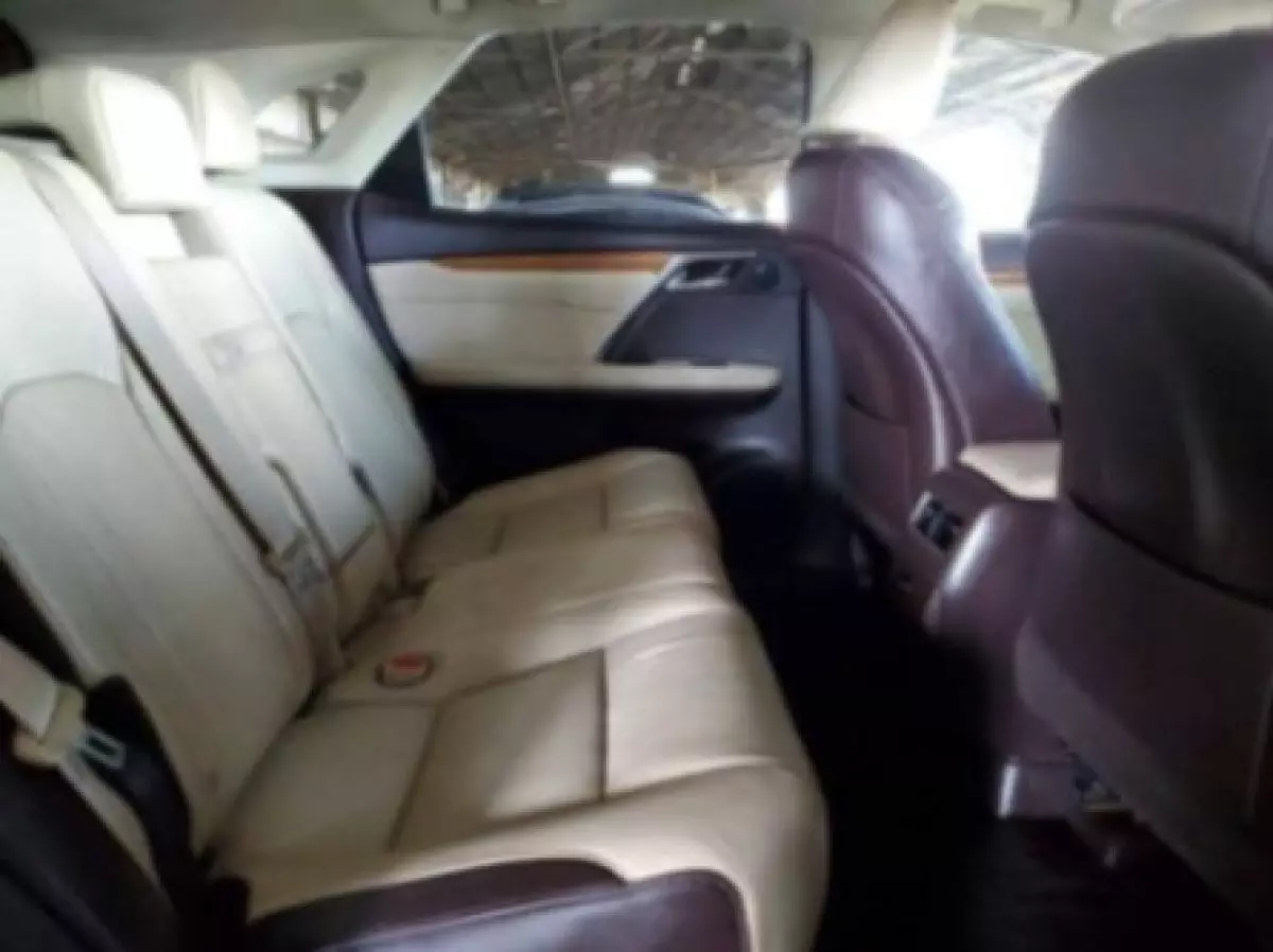 interiorBack