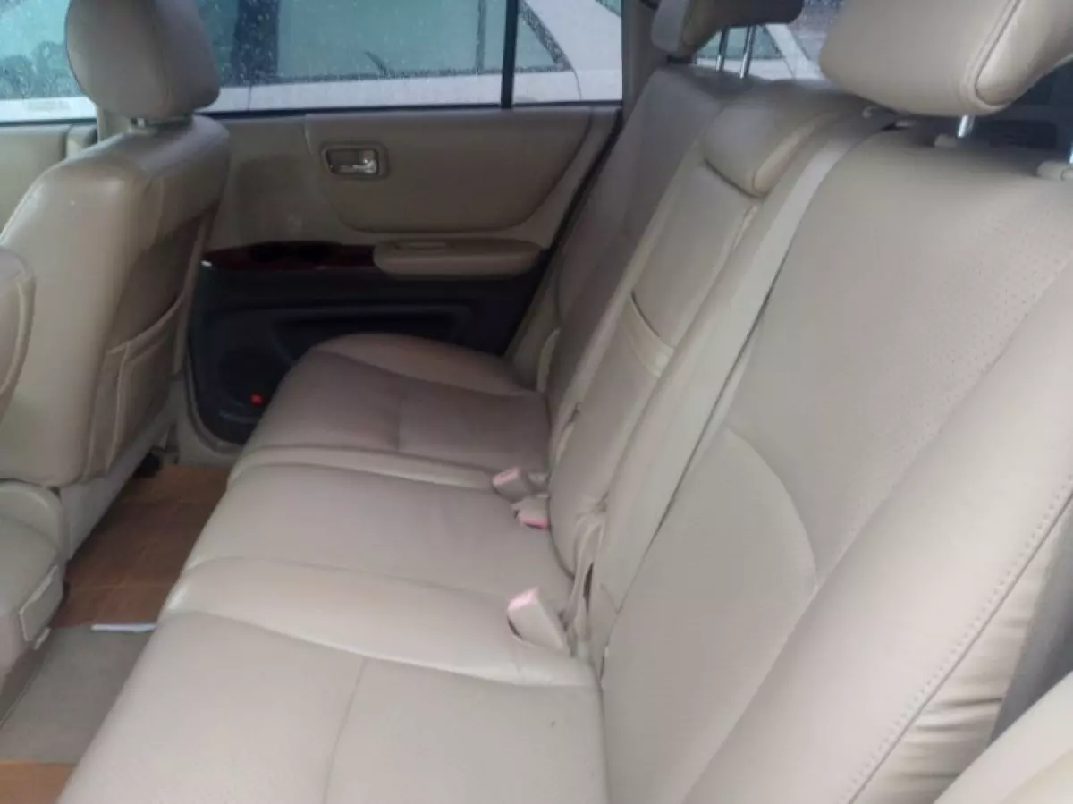 interiorBack