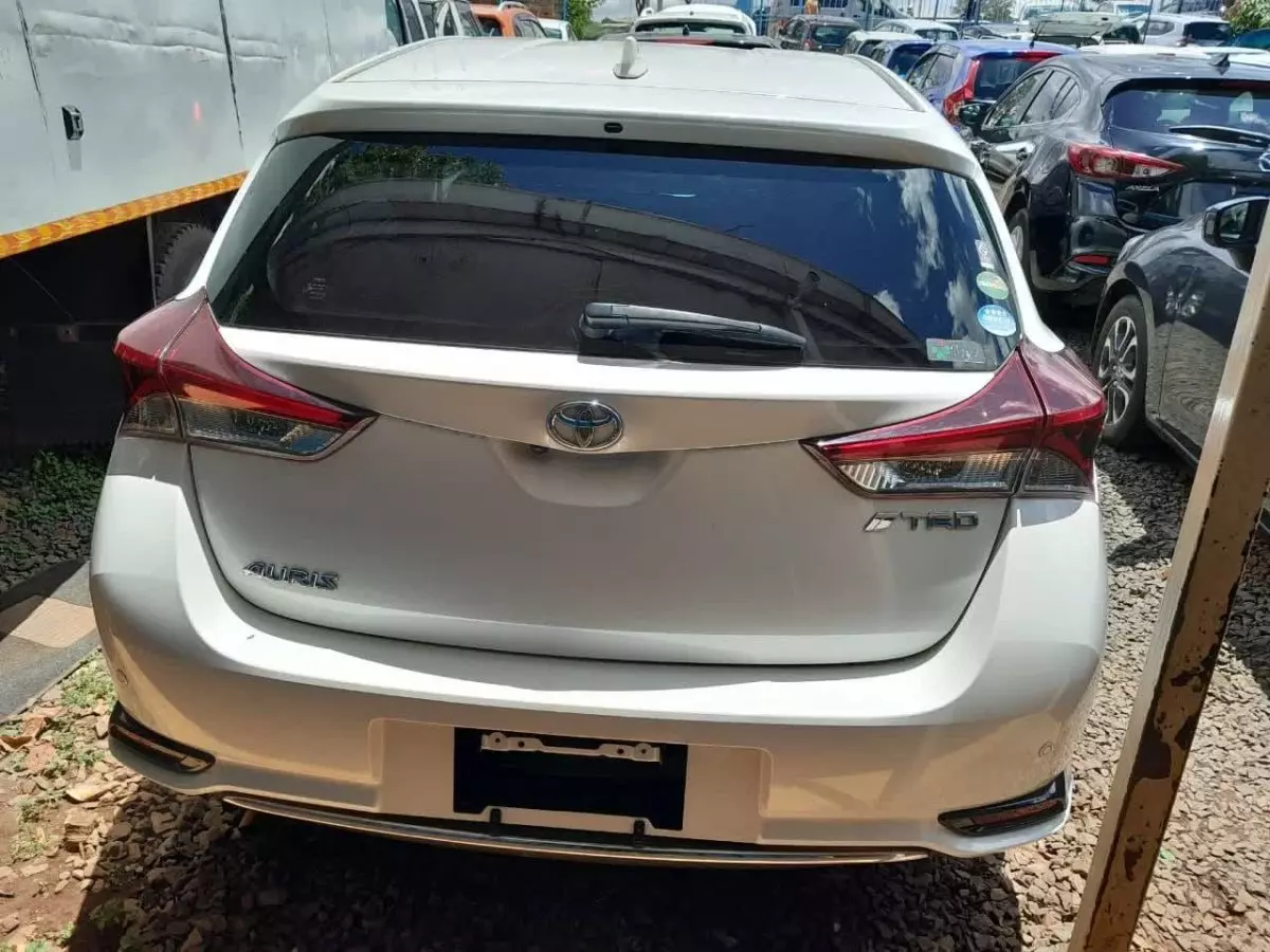 car Back