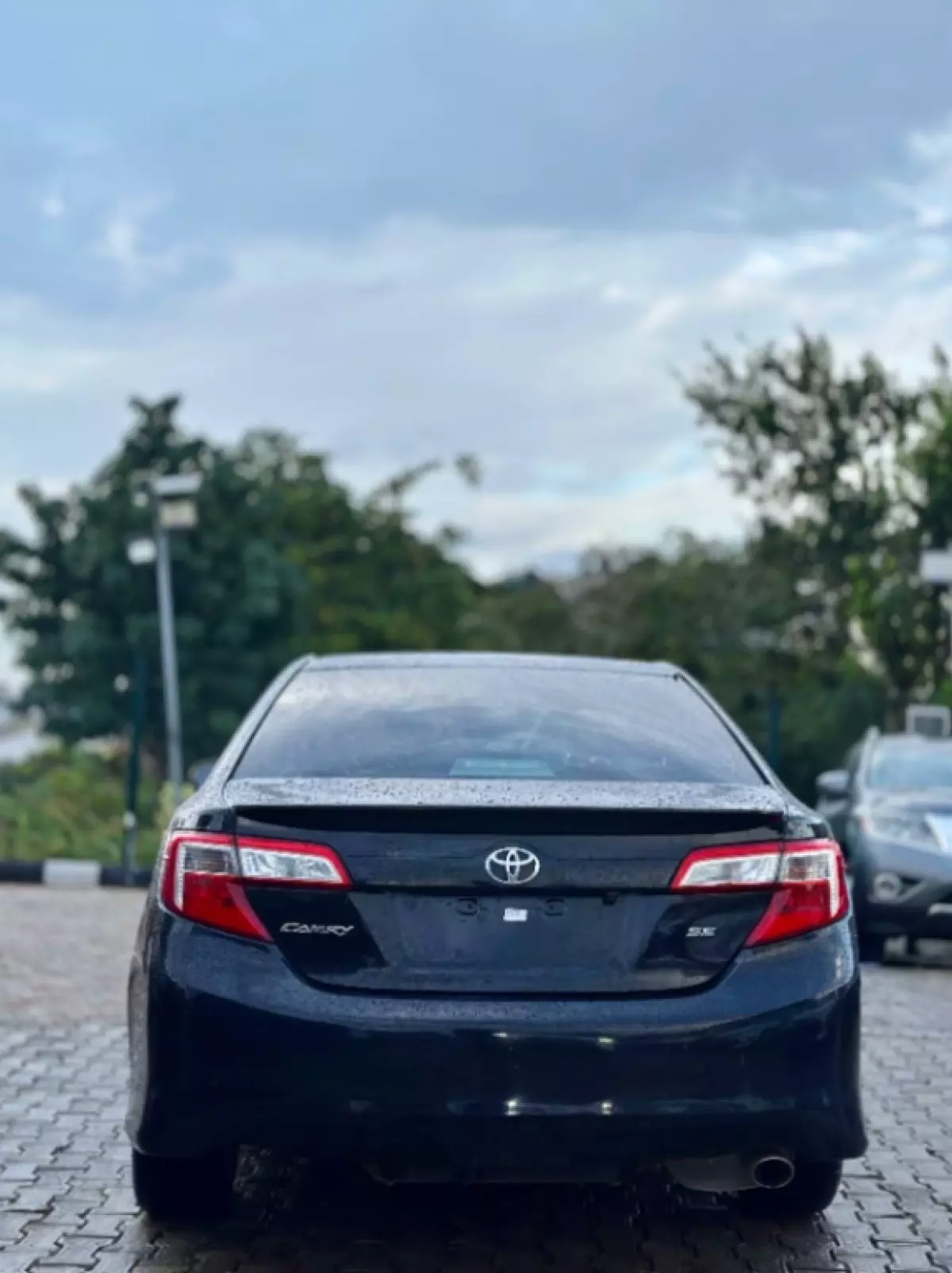 back