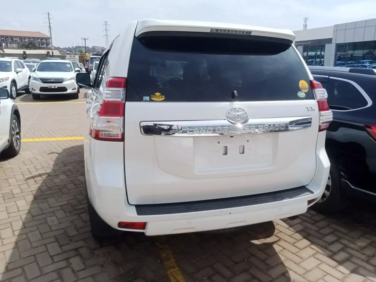 car Back