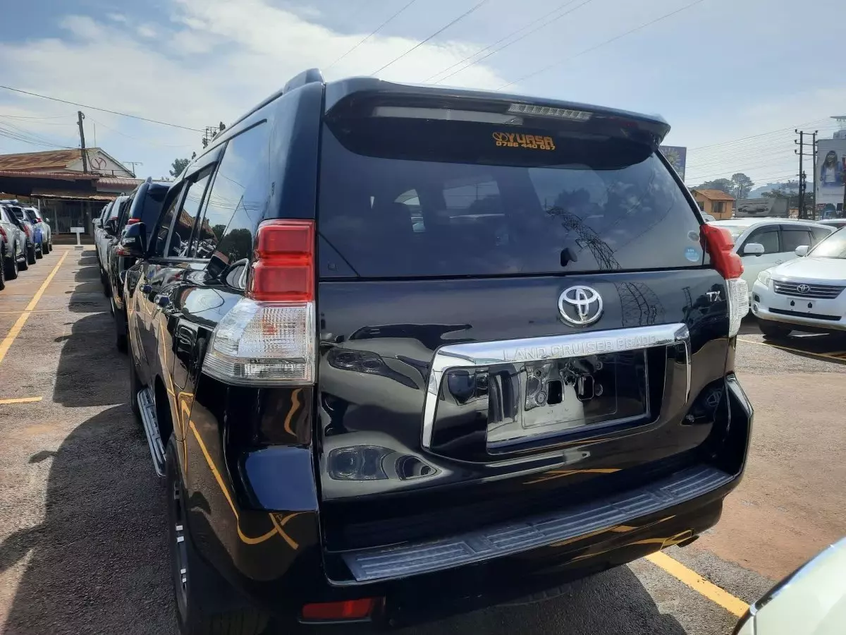 car Back