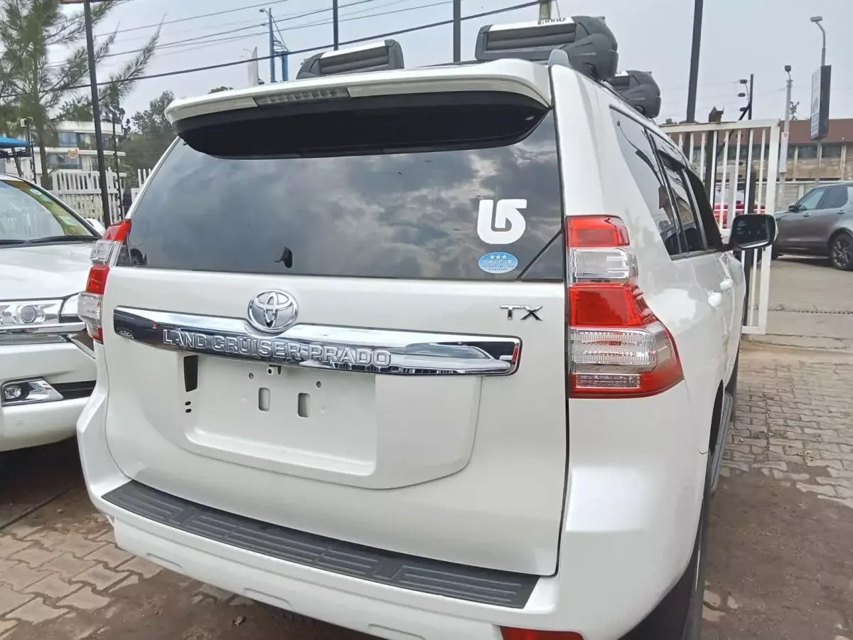 car Back
